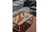 Apple Bee | Dolce Couchtisch 120 x 65 x 40 cm