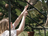 Royal Well | Kate I Gewächshaus | Sicherheitsglas 3 mm | Graugrün