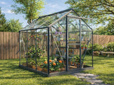 Royal Well | Mary I Gewächshaus | Sicherheitsglas 3 mm | Grün-Grau