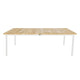 Apple Bee | Milou Gartentisch 240 x 100 cm | Oyster-Teak