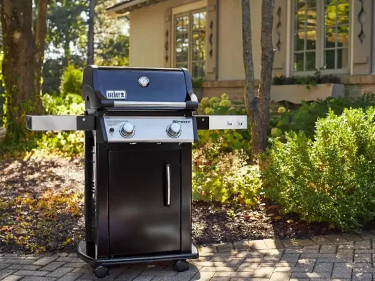 Weber | Spirit E-215 | GBS